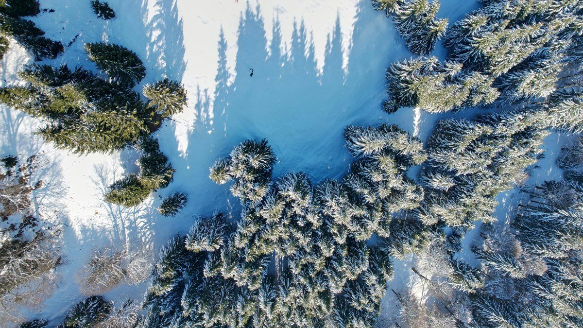 Disparition mystérieuse d'un adolescent en randonnée près du château de Dracula