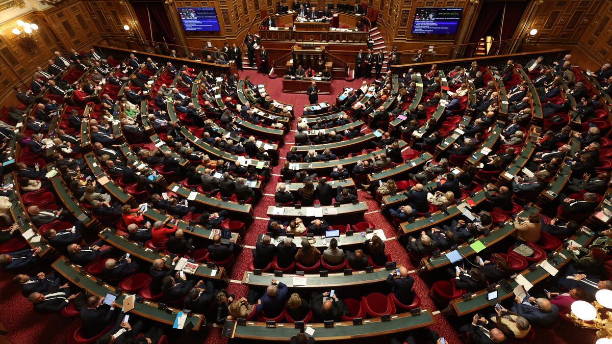 Un nouvel élan pour la taxe sur les logements vacants : le Sénat esquisse des réformes