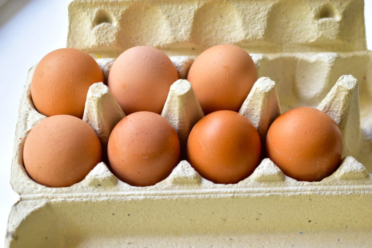 Le grand débat : œufs au frigo ou à température ambiante ?