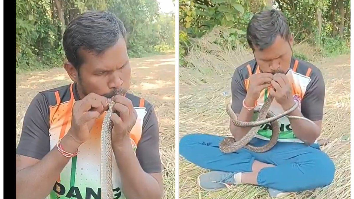 Un sauvetage héroïque : un animal de compagnie rescapé grâce à un bouche-à-bouche inattendu