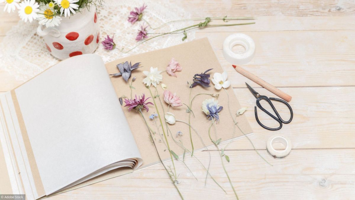 Créer un herbier: les étapes clés pour un résultat réussi