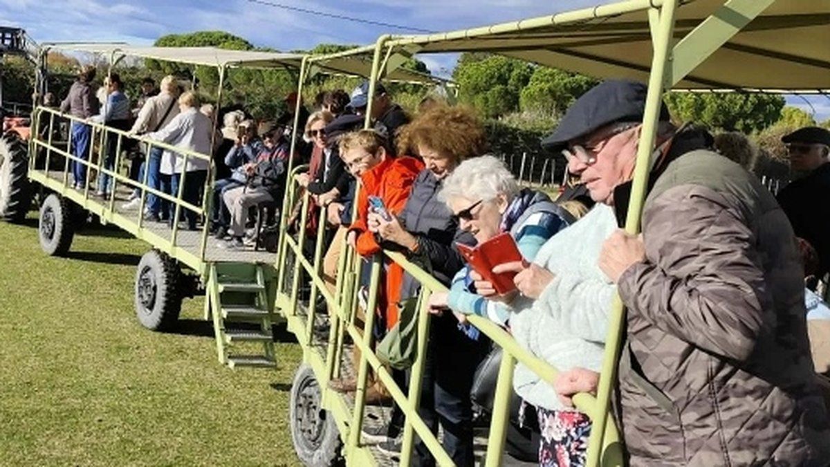 Les aînés de Saint-Orens à la découverte des merveilles de la Camargue