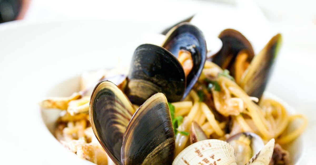 Les secrets pour réussir la congélation des moules