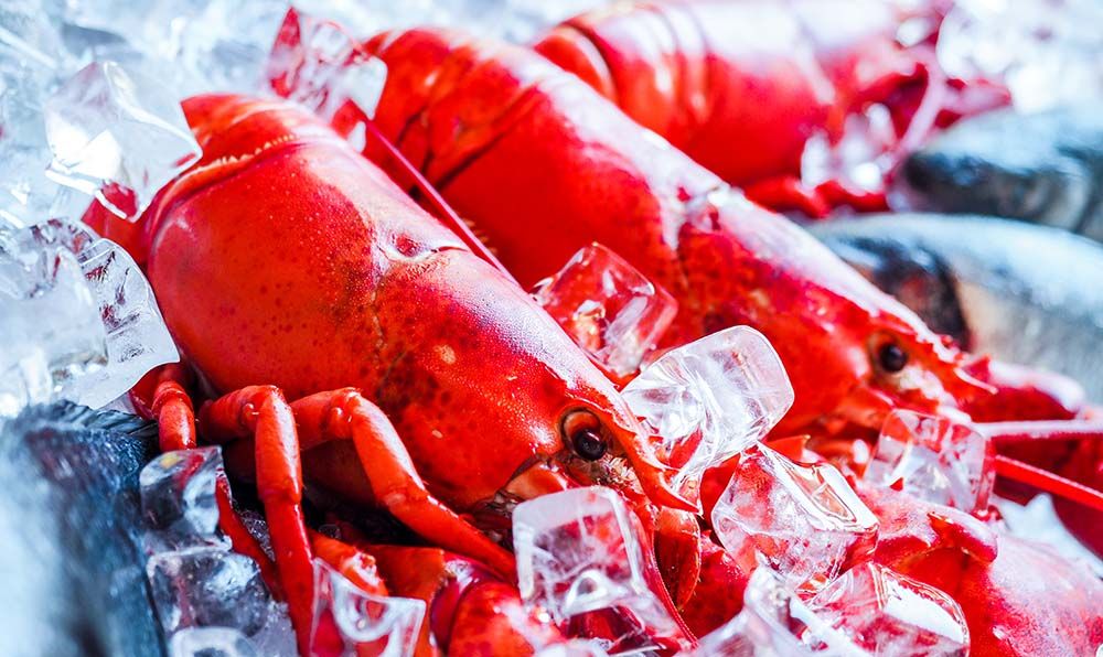 Préparer la langouste : astuces et méthodes de cuisson