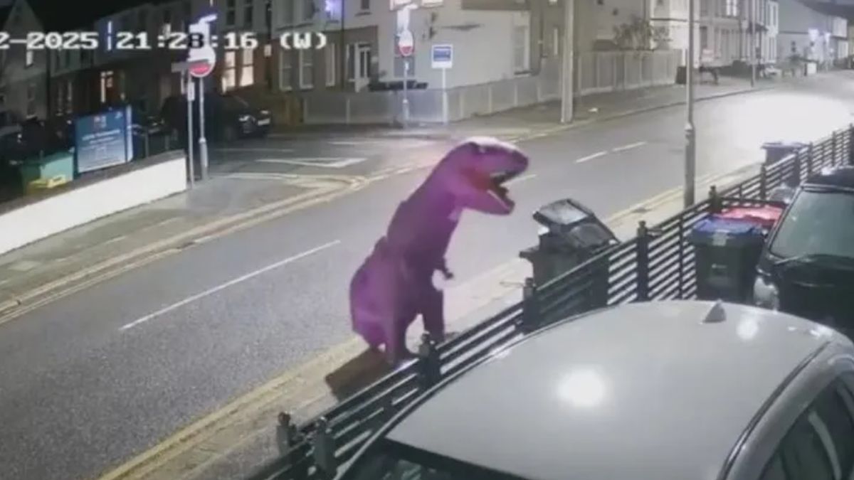 Un dinosaure violet déserte pour déposer ses déchets : une drôle de cabriole à Southend