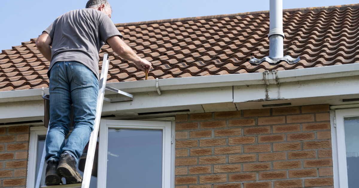 Entretenir votre toiture : un indispensable pour sa longévité