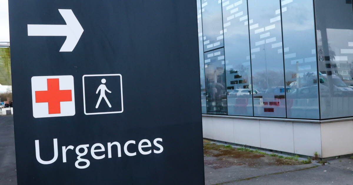 Une épidémie de gastro-entérite touche un collège des Pyrénées-Orientales