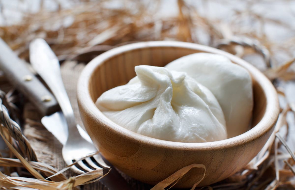 Les délices de la burrata et de la mozzarella