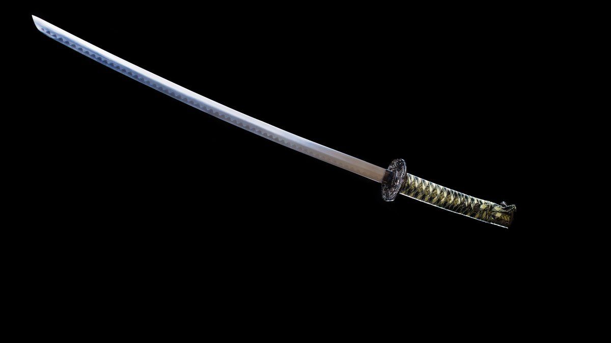 Violences familiales : un père de famille brandit un katana contre ses proches