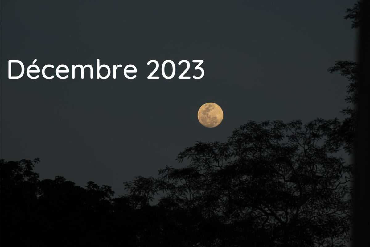 Calendrier lunaire au jardin - décembre 2023