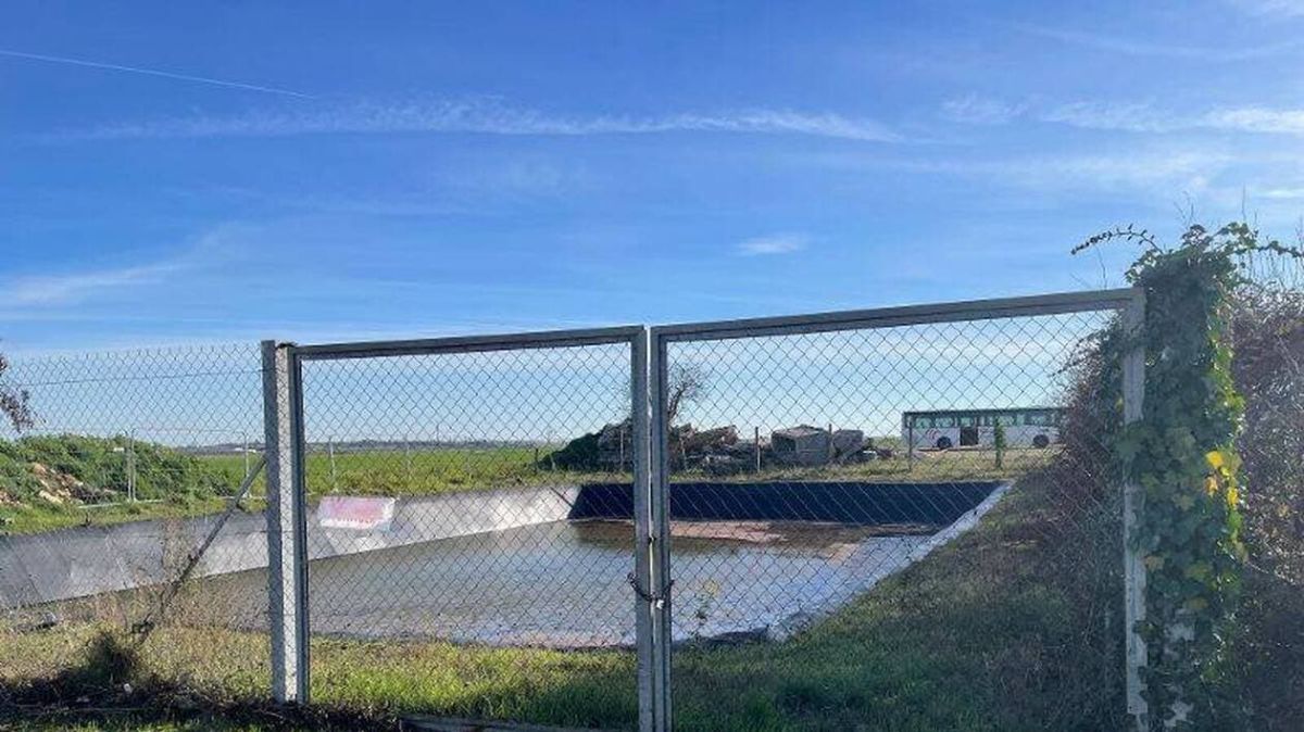 Un projet de lotissement à Thénezay freiné par des grenouilles rieuses