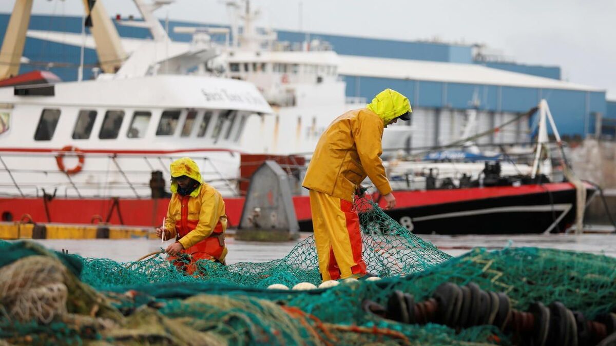 Un nouvel accord de pêche entre l'UE et le Royaume-Uni : 288 000 tonnes en jeu