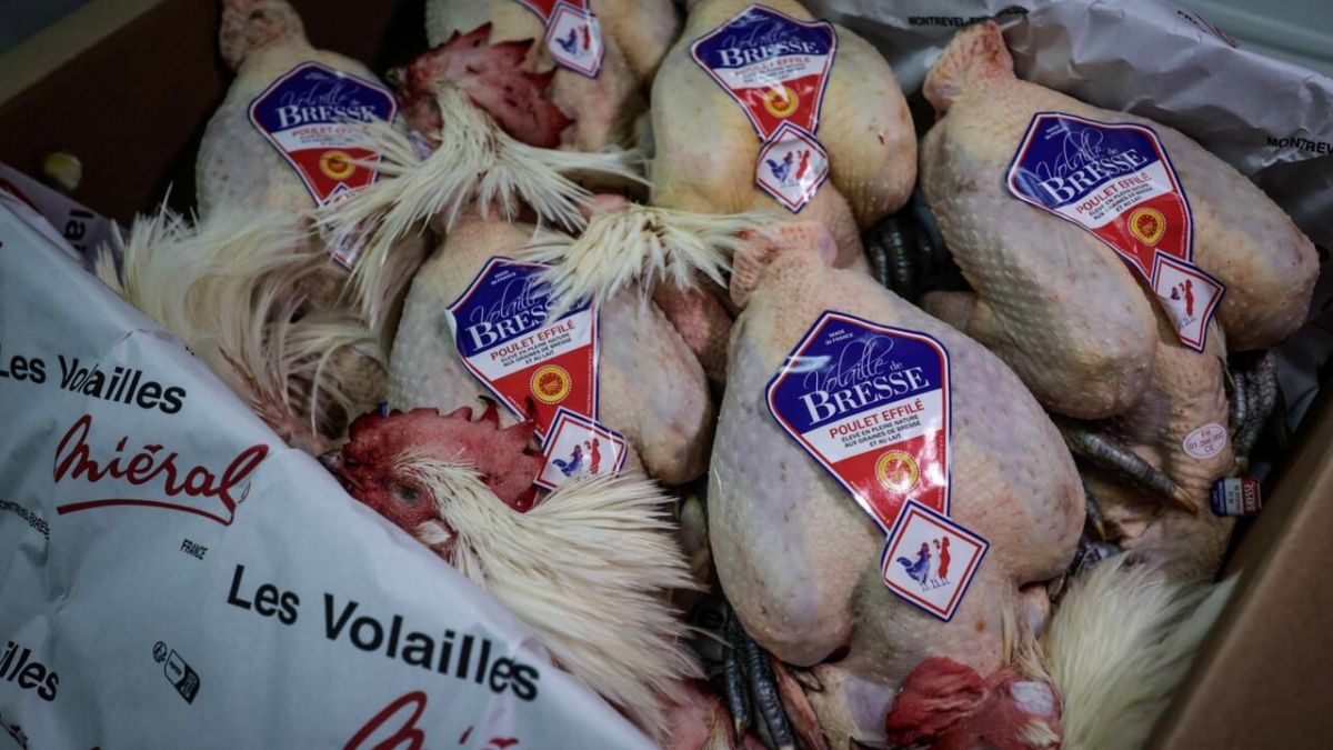 Gibier à Noël : un goût oublié dans les cuisines françaises