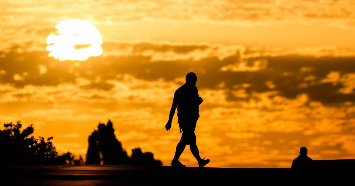 Dix ans après l'Accord de Paris, la planète en surchauffe : quel avenir face aux canicules ?