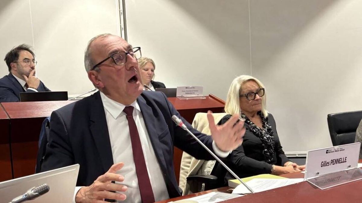 La montée des tensions politiques en Bretagne : le Rassemblement national s'exprime