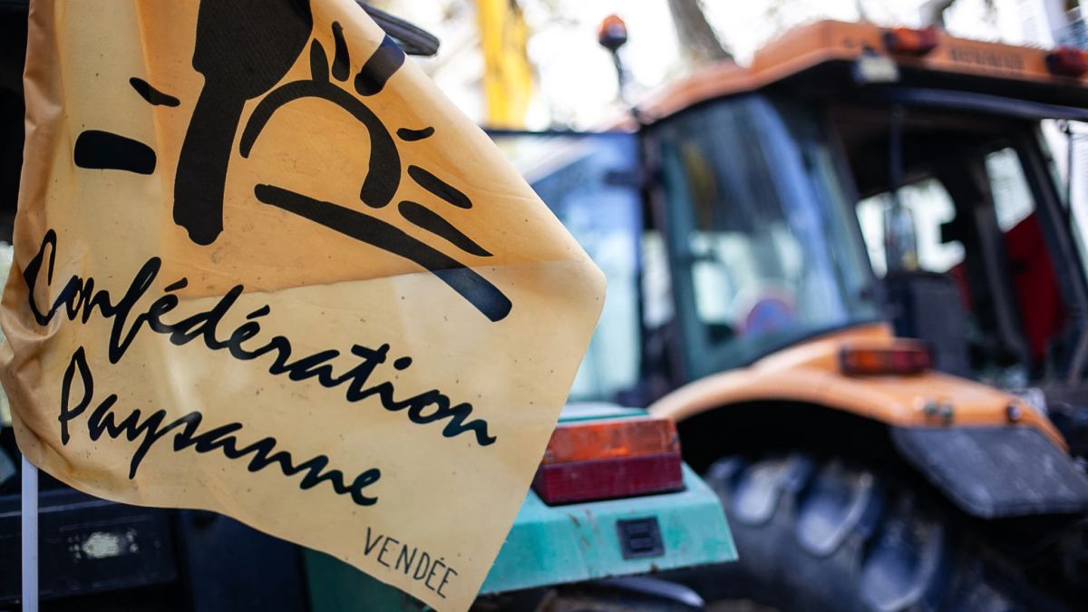 Mobilisations agricoles : la Confédération paysanne s'oppose à l'abattage des bovins
