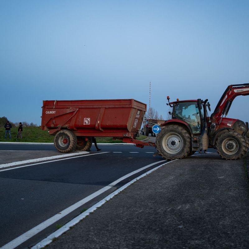 Agriculteurs en colère : l'abattage de bovins déclenche une mobilisation sur l'A64