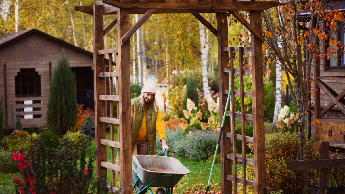 Comment protéger vos plantes des rigueurs de l'hiver