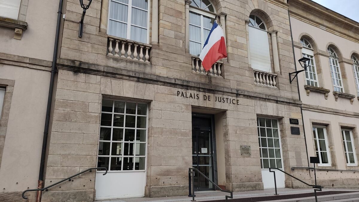 Une mère condamnée pour violences choquantes sur son fils à Épinal