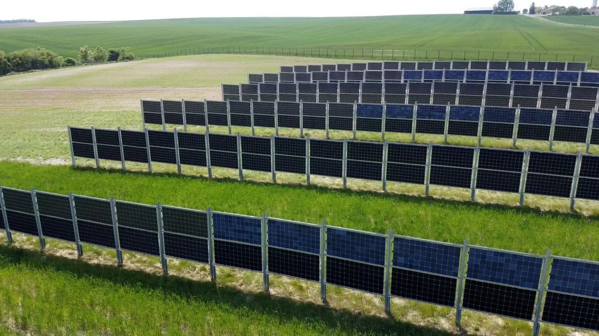 Totalenergies renonce à un projet agrivoltaïque malgré des ambitions élevées