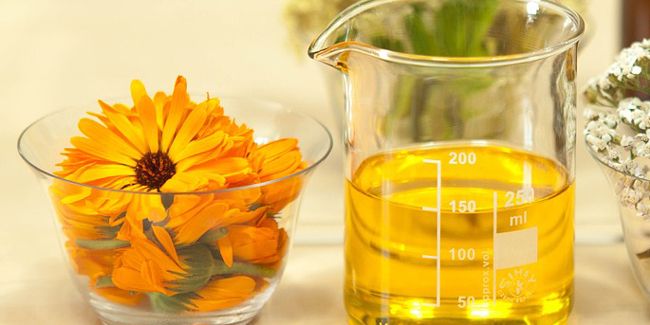 Calendula : le trésor apaisant pour votre peau