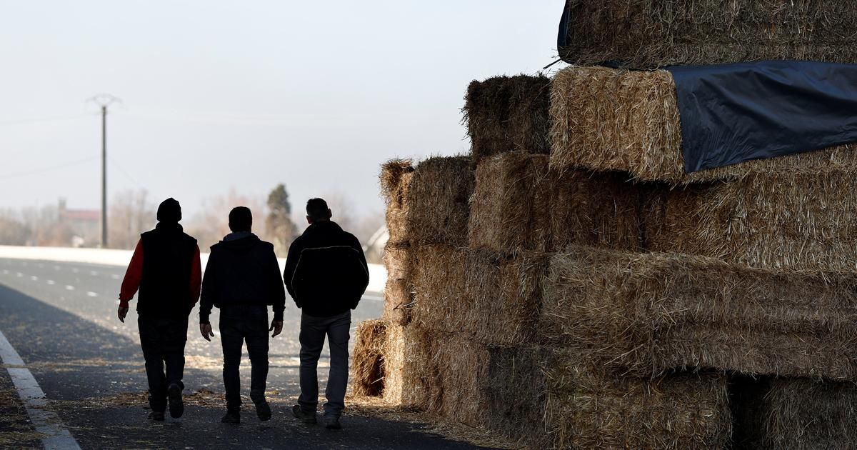 Agriculteurs en colère : le gouvernement face à la crise de la dermatose bovine