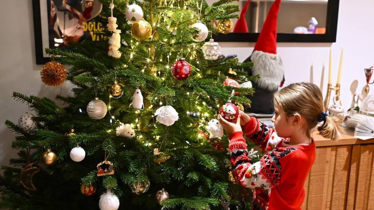 RSA et prime de Noël : tout ce qu'il faut savoir sur les cumuls d'aides