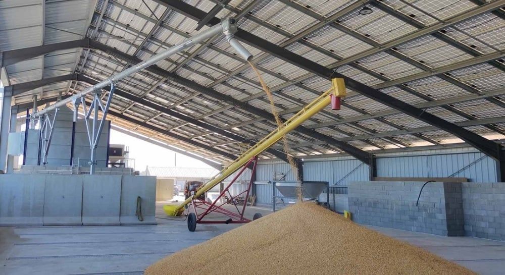 L'UE investit 12 millions d'euros pour transformer le stockage de blé en Égypte