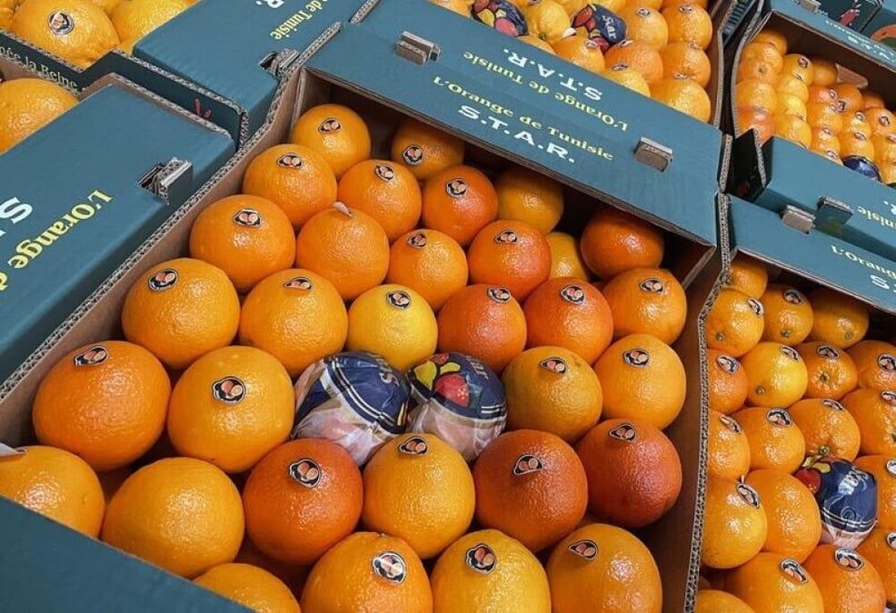 La Tunisie mise sur une stratégie audacieuse pour conquérir le marché français des oranges