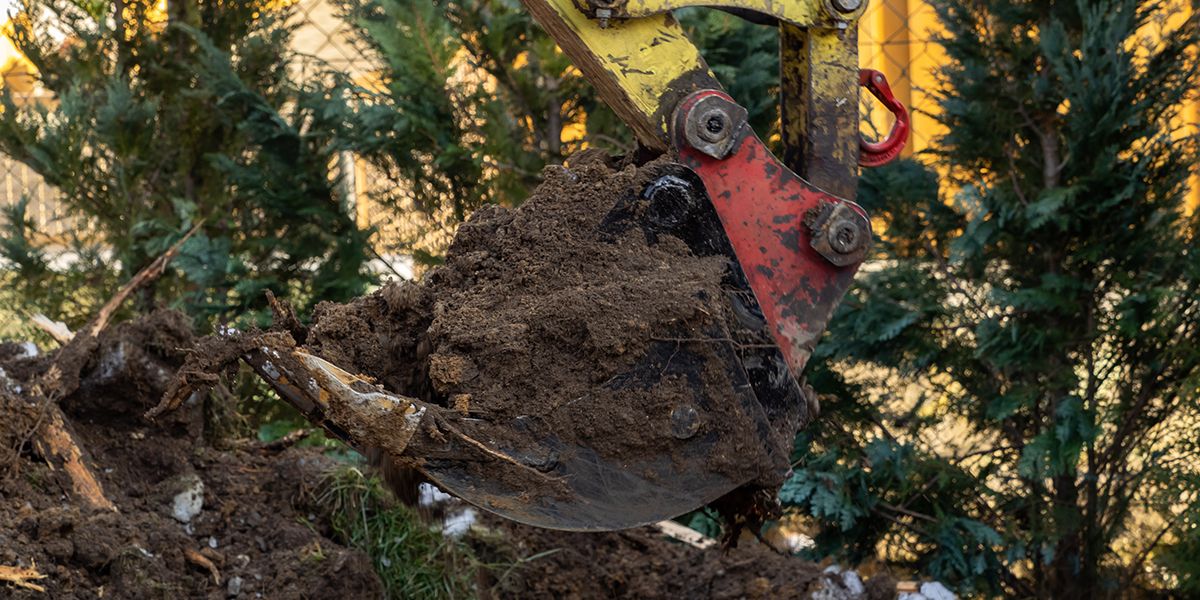 Détruire les souches de thuyas : comment se débarrasser des vestiges indésirables ?