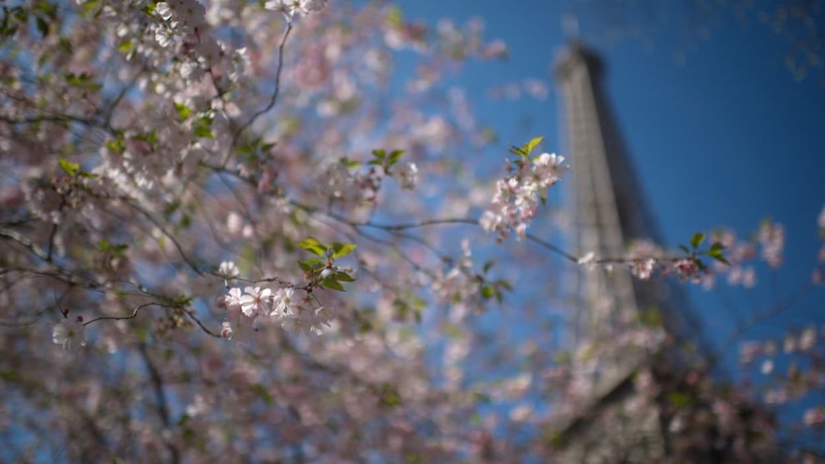 France surprend en se classant 11e économie mondiale, devançant les géants
