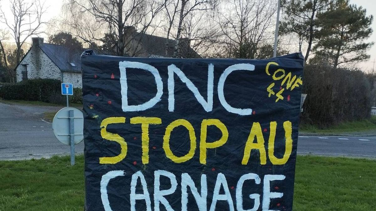 La lutte contre la dermatose nodulaire contagieuse s'intensifie en Loire-Atlantique et Ille-et-Vilaine