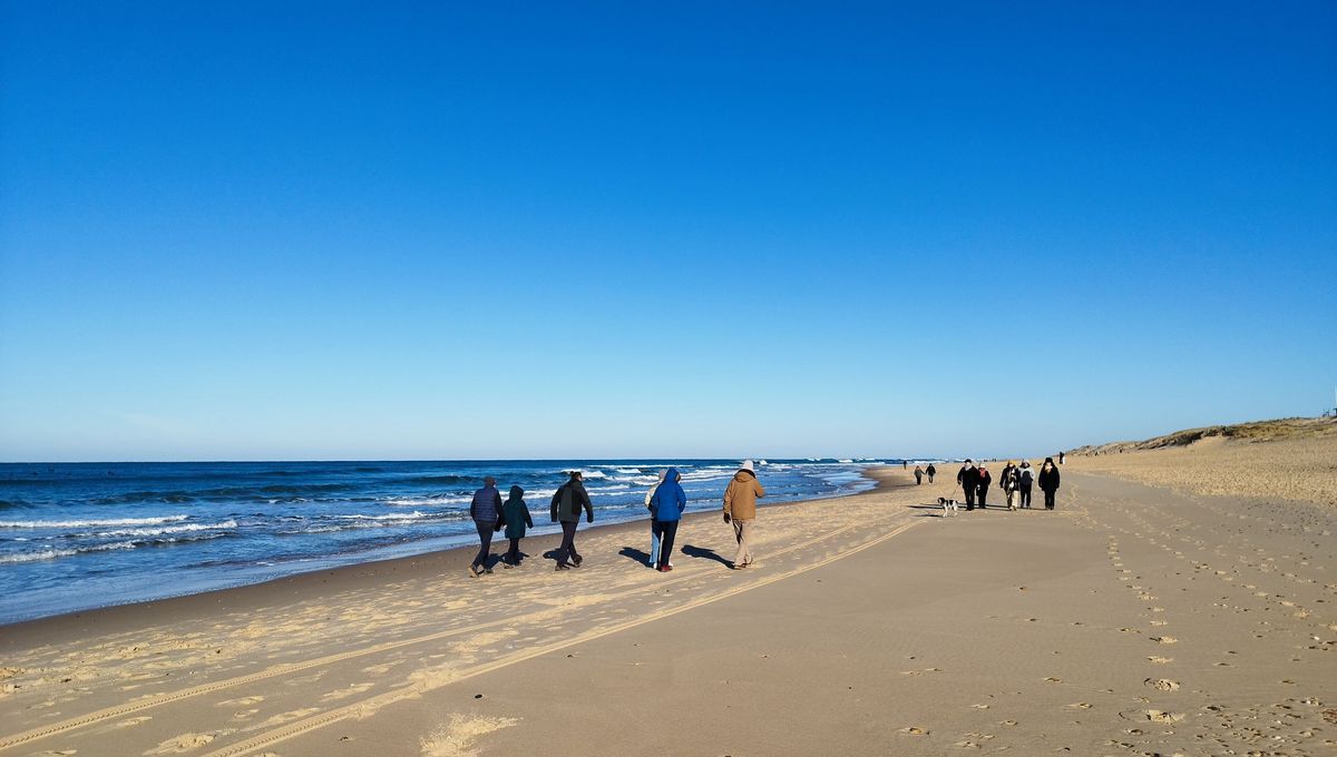 À Lacanau, le bain du Nouvel An attire les audacieux malgré l'eau glacée