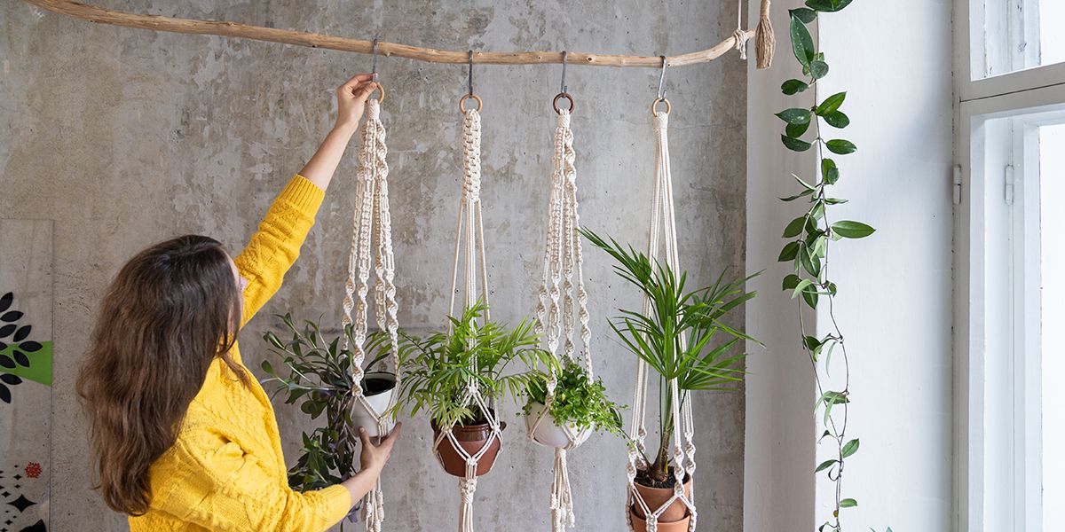 Élever la verdure : la magie des plantes suspendues à la maison