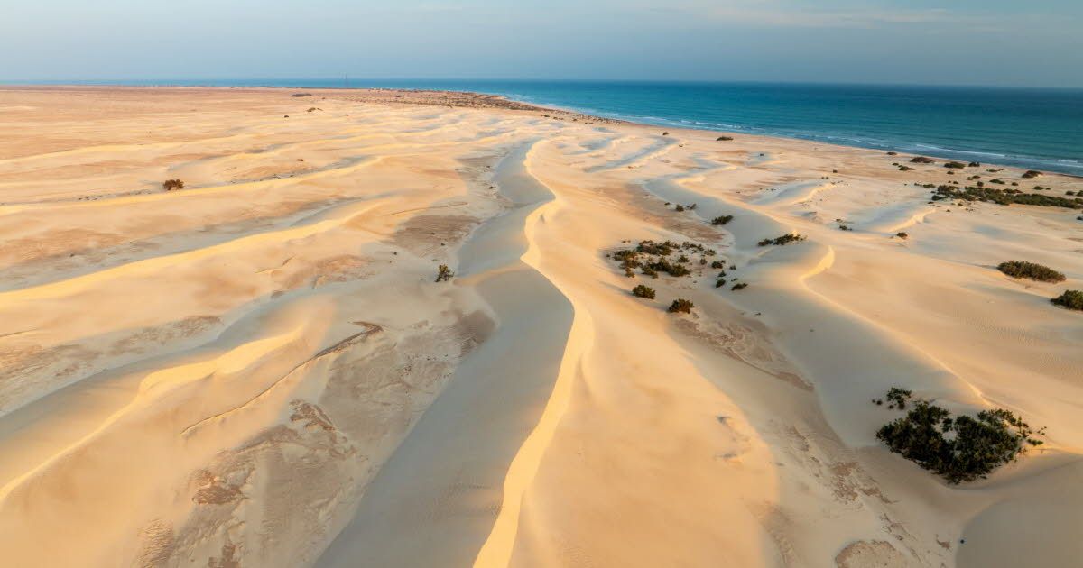 Des centaines de touristes piégés sur l'île de Socotra : une situation d'urgence au Yémen