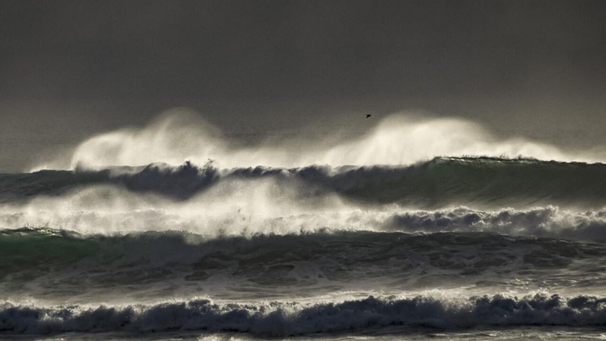 Les océans en bouleversement : un record inquiétant de chaleur en 2025