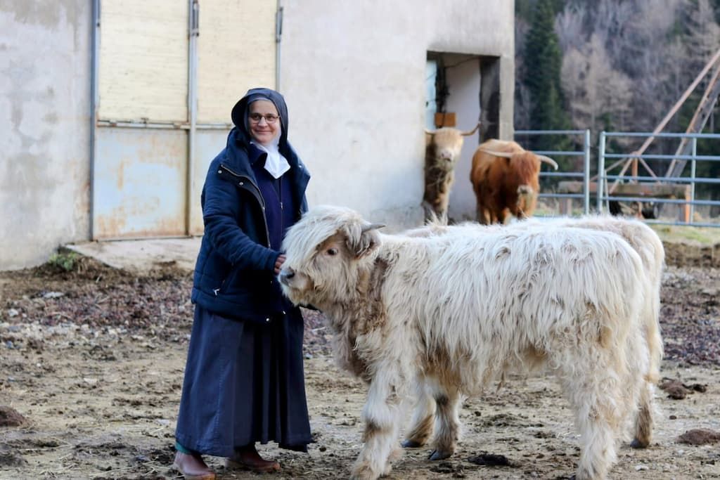 Un nouveau souffle pour l'abbaye de Notre-Dame des Neiges