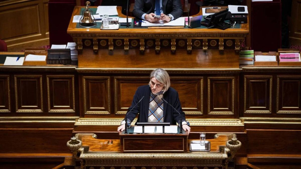 Sénat : la fin de vie en débat, l'avenir de l'aide à mourir incertain