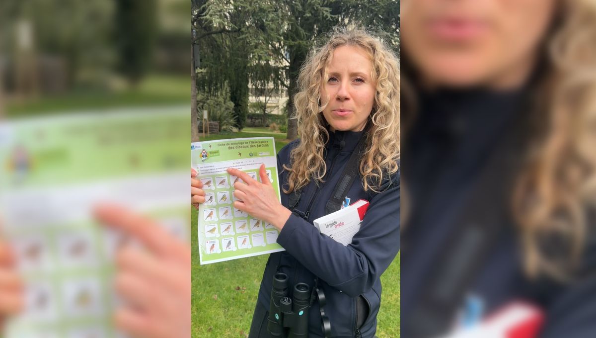 Comptage des oiseaux : une invitation à redécouvrir notre biodiversité ce week-end