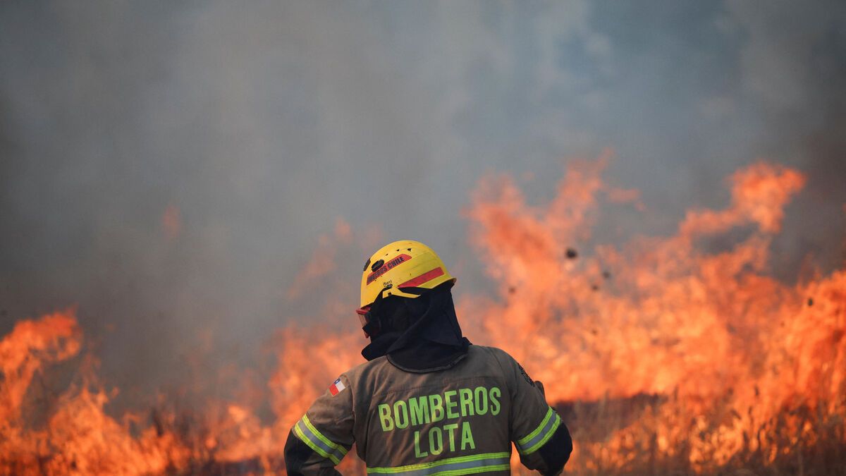 Un suspect arrêté pour des incendies meurtriers au Chili : 21 vies perdues