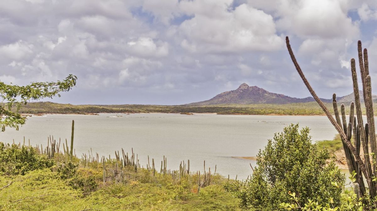 Bonaire face aux Pays-Bas : une bataille judiciaire pour le climat