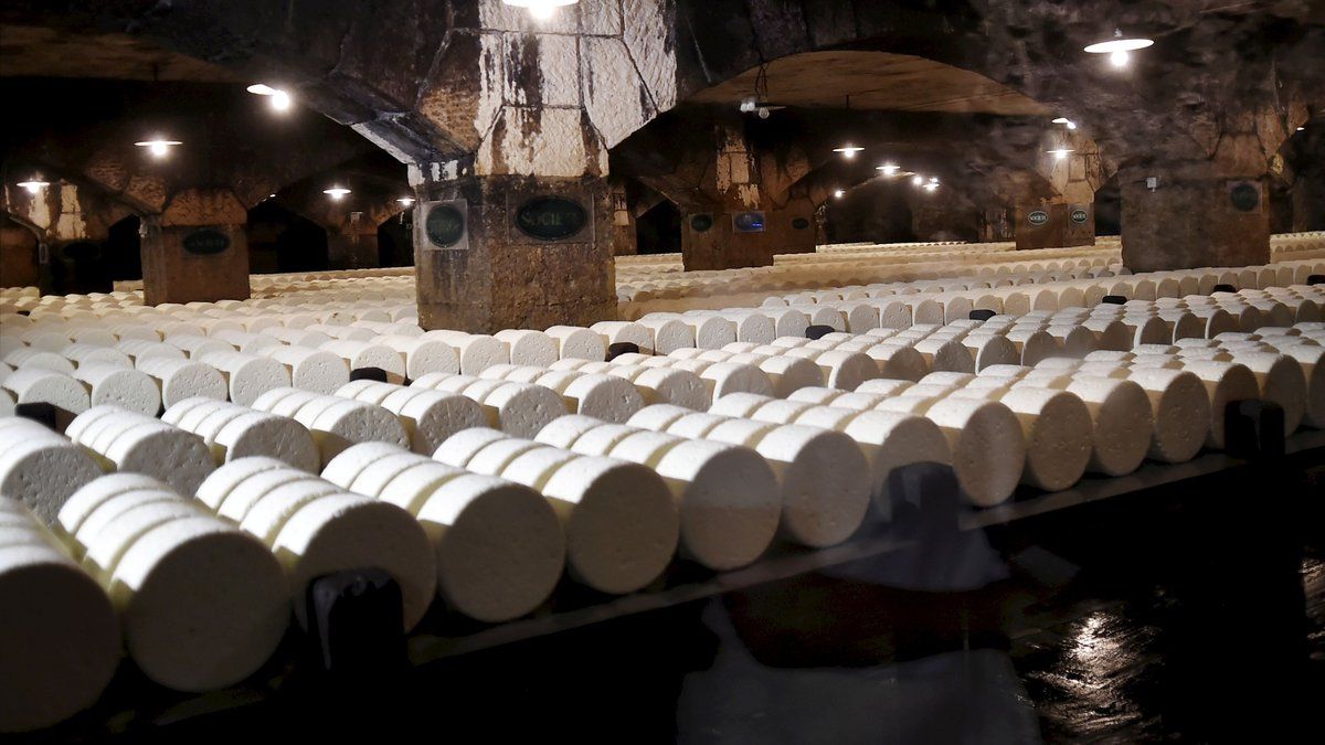 L'impact des taxes Trump sur l'exportation des produits régionaux : un bilan inquiétant