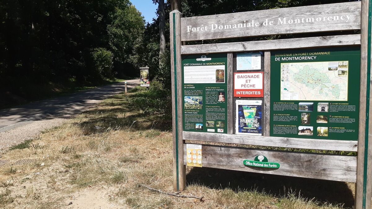 Disparition tragique : le corps de Joëlle retrouvé en forêt de Montmorency