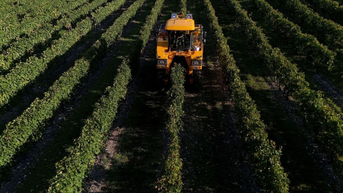 Pourquoi les indépendants boudent le congé de paternité
