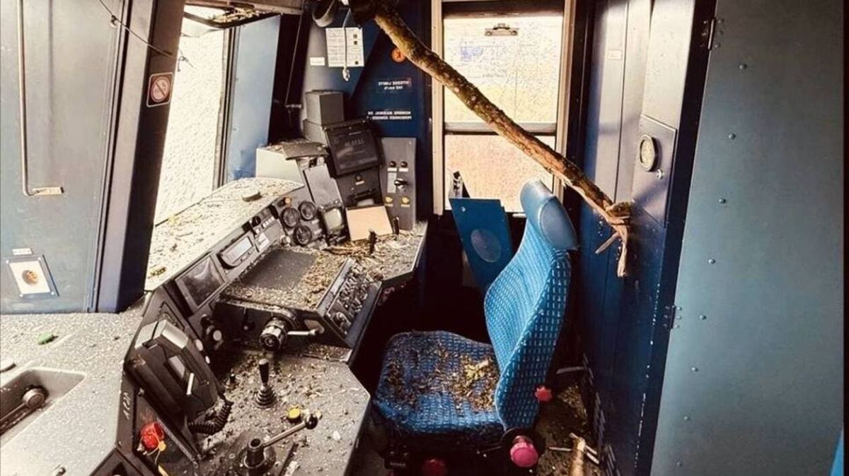 Un impact inattendu : un arbre perturbe le RER C à Marolles-en-Hurepoix