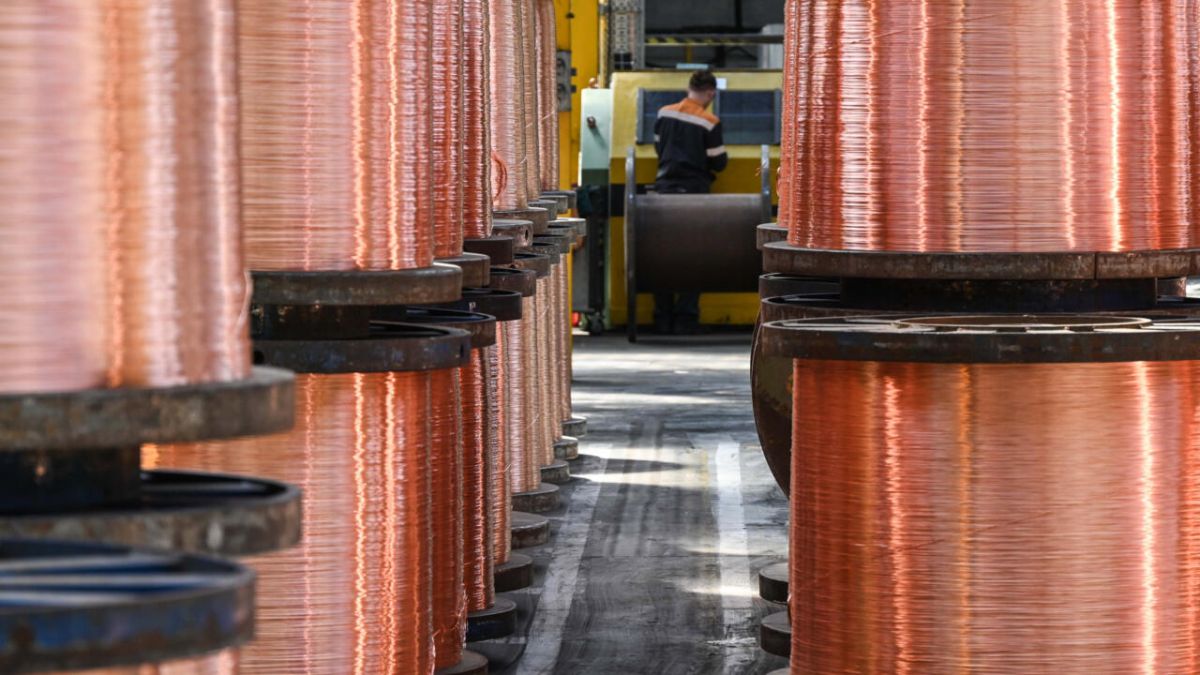 La zambie entre promesse d'or rouge et vulnérabilité