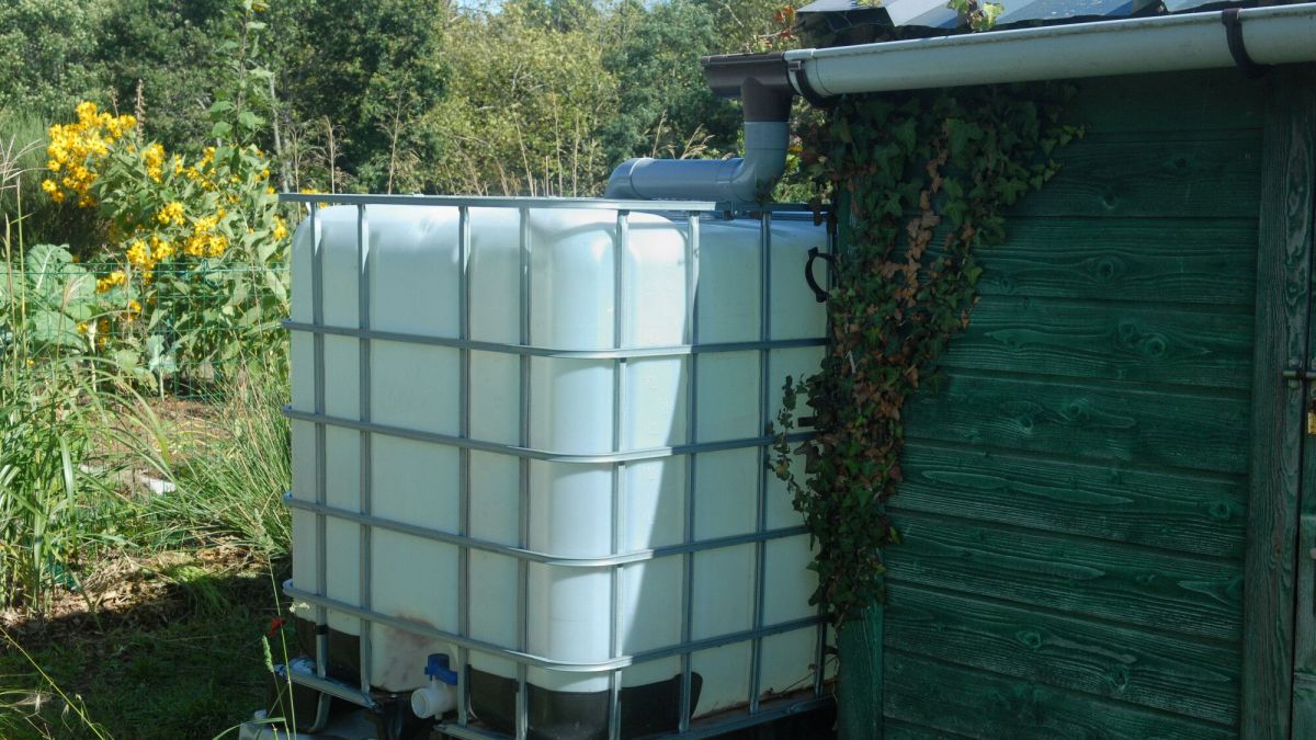 Récupérer l'eau de pluie : tout ce qu'il faut savoir avant l'installation de votre cuve