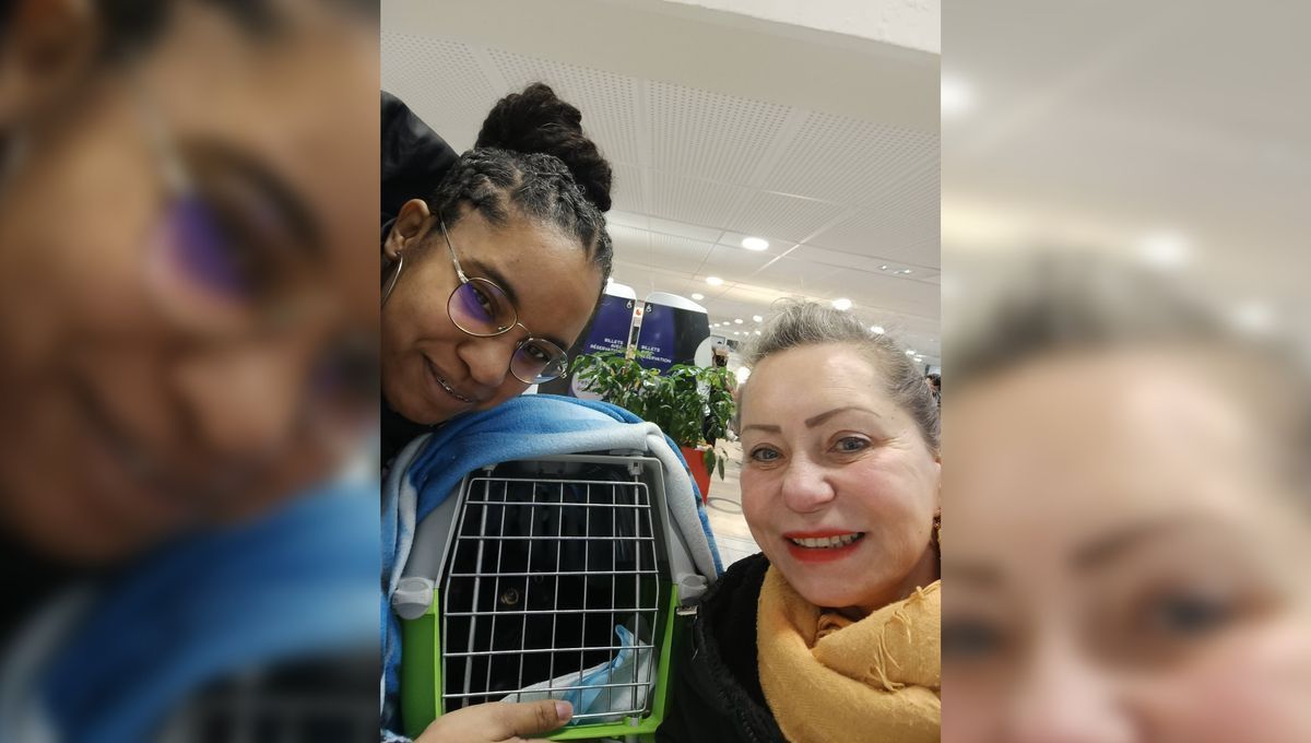 Le retour d'un chat perdu : Néro retrouve sa maîtresse après neuf mois grâce à une héroïne locale