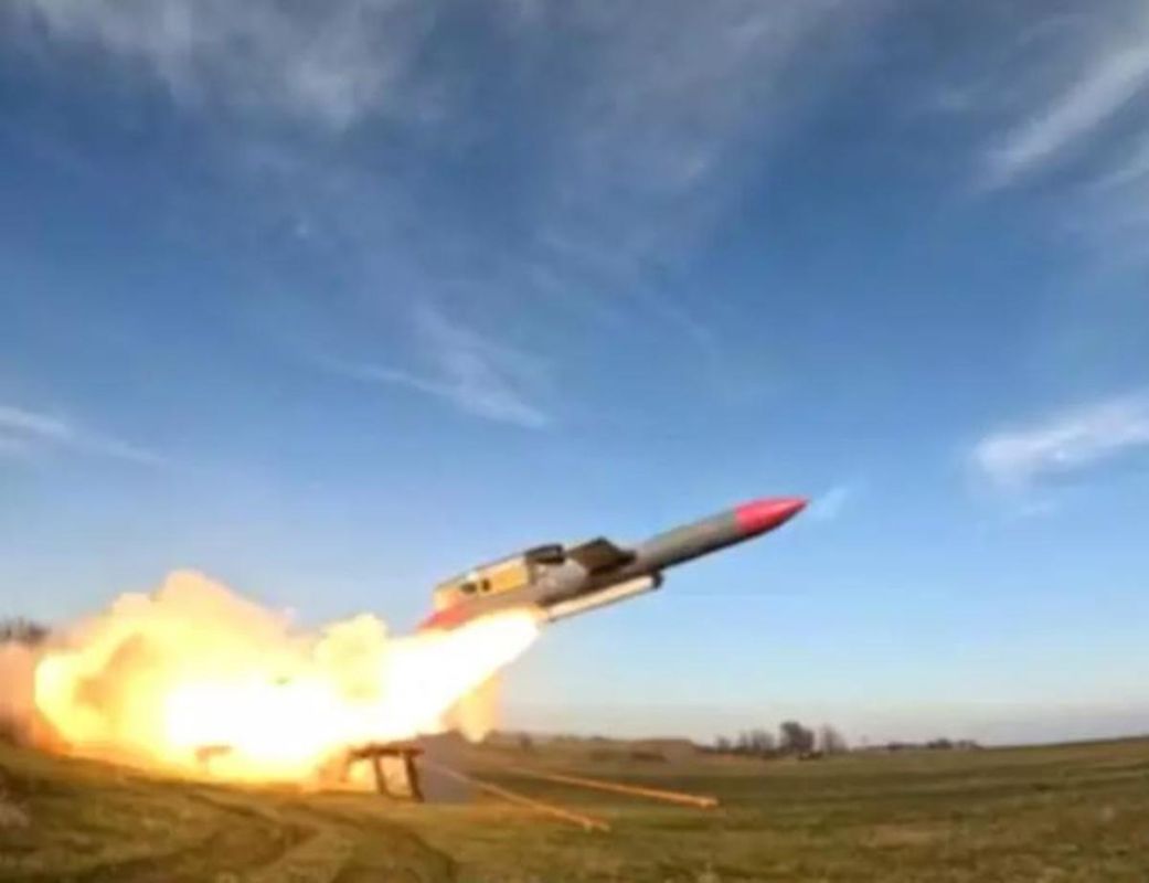 La Lituanie renforce sa défense en acquérant des armes ukrainiennes