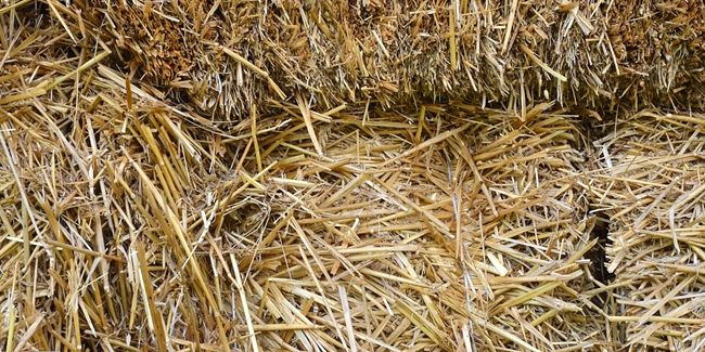 Maison en paille : principe de construction, avantages et inconvénients